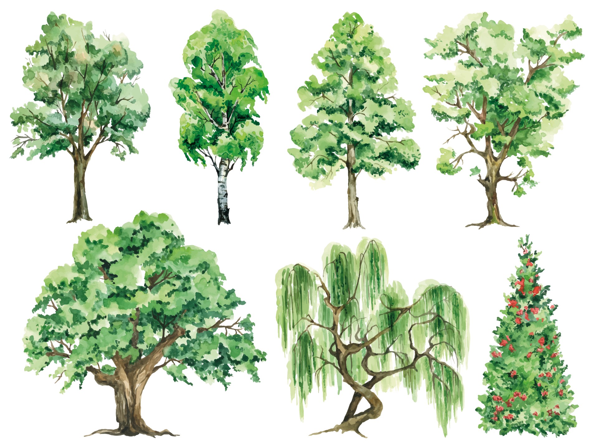 watercolor trees