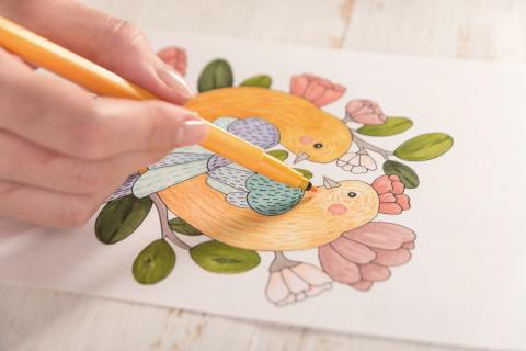 teen coloring birds
